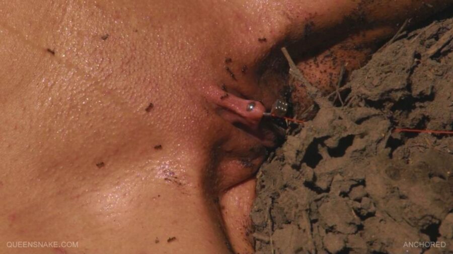 Free porn pics of HARD BDSM - queensnake 15 of 48 pics