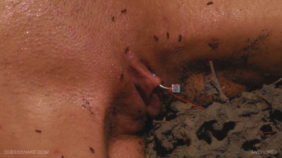 Free porn pics of HARD BDSM - queensnake 18 of 48 pics
