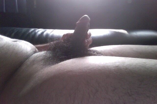 Free porn pics of My Hairy Cock 13 of 14 pics