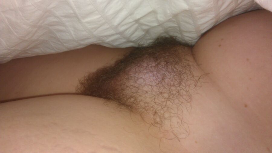 Free porn pics of Girlfriends hairy pussy 15 of 28 pics