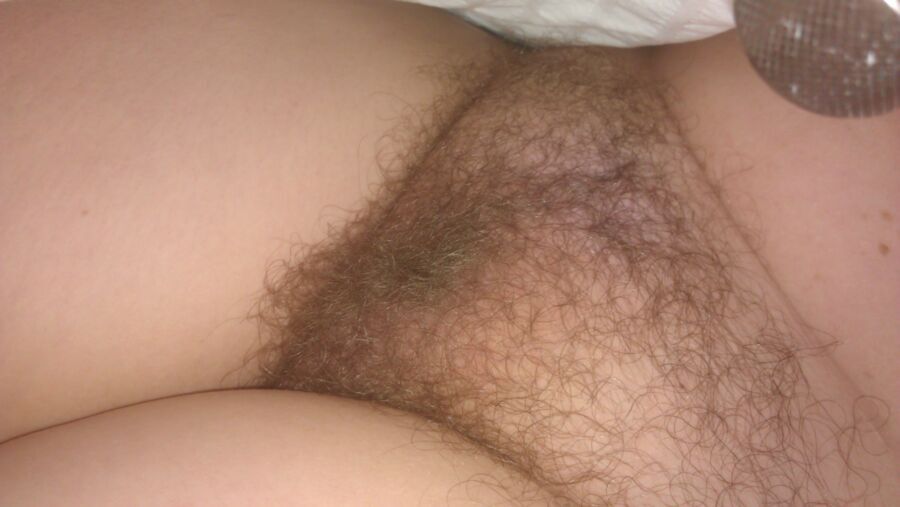 Free porn pics of Girlfriends hairy pussy 16 of 28 pics
