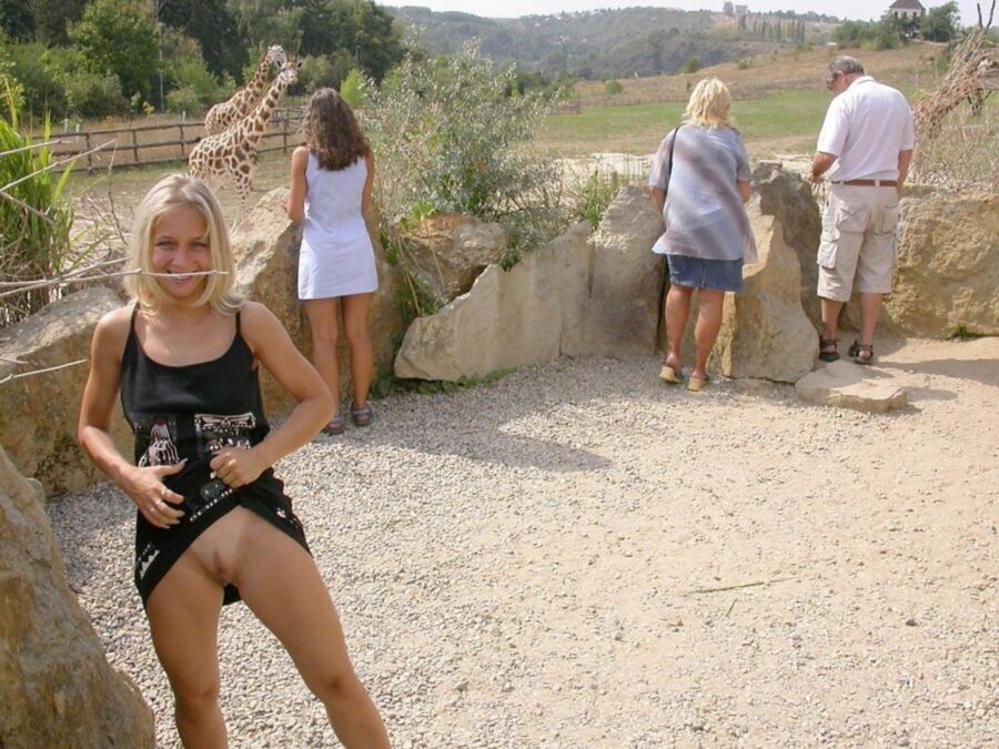 Free porn pics of Blonde @ the zoo. 3 of 8 pics