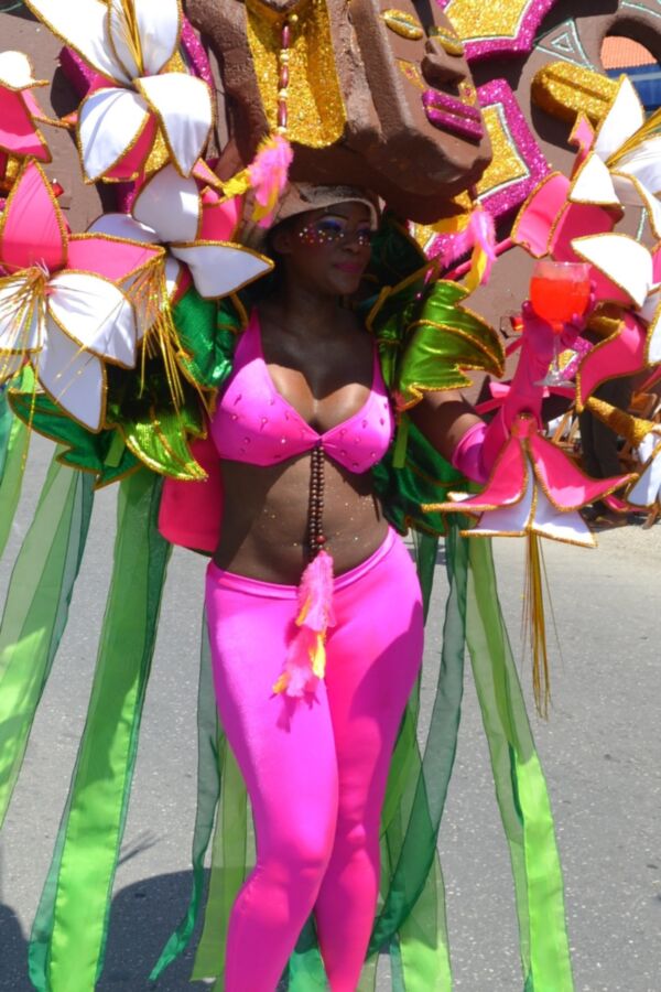 Free porn pics of Carnaval in Caribbean 3 of 27 pics
