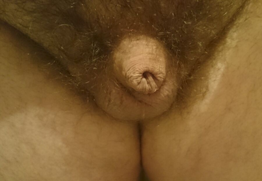 Free porn pics of My Flaccid Dink 1 of 1 pics