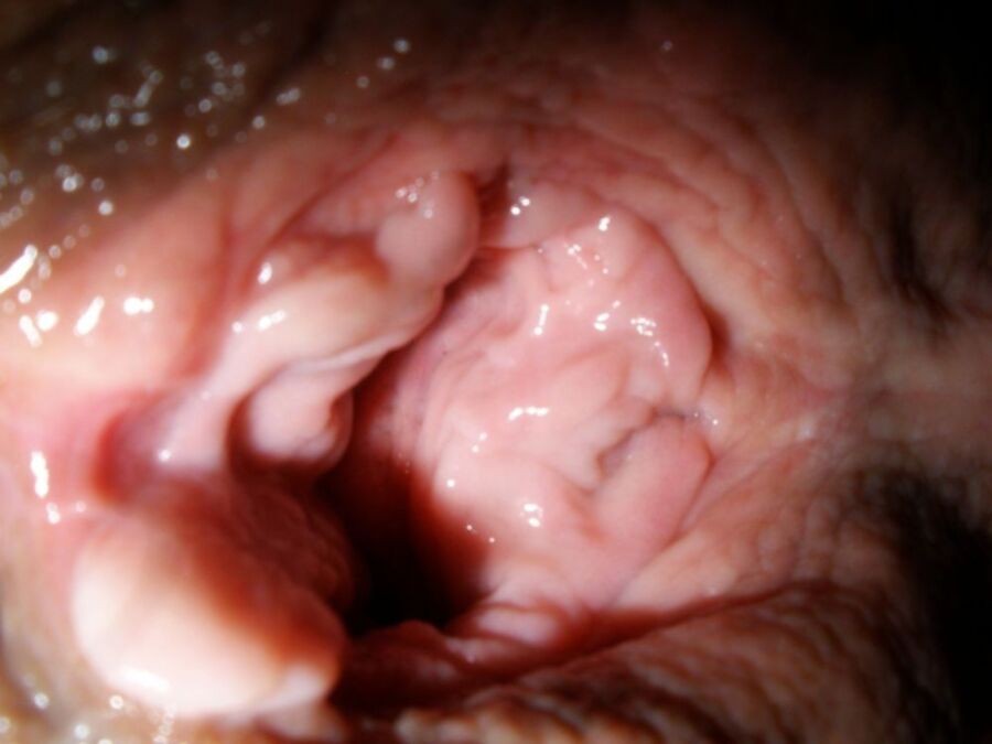 Free porn pics of Gaping pussy Close-up 6 of 6 pics
