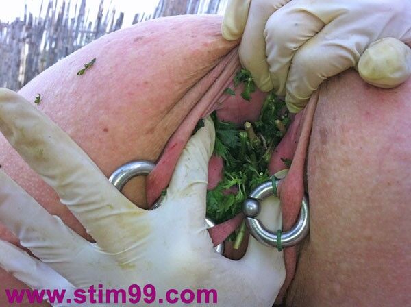 Free porn pics of Stinging Nettle Torture in Pussy and Breast 5 of 18 pics
