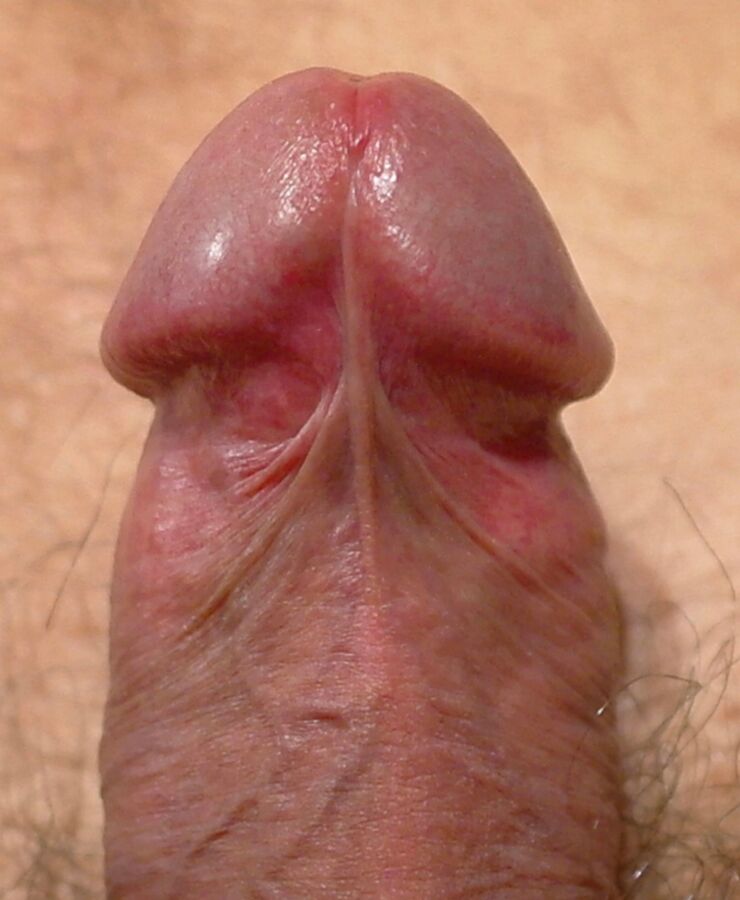 Free porn pics of Tubular flesh 11 of 24 pics