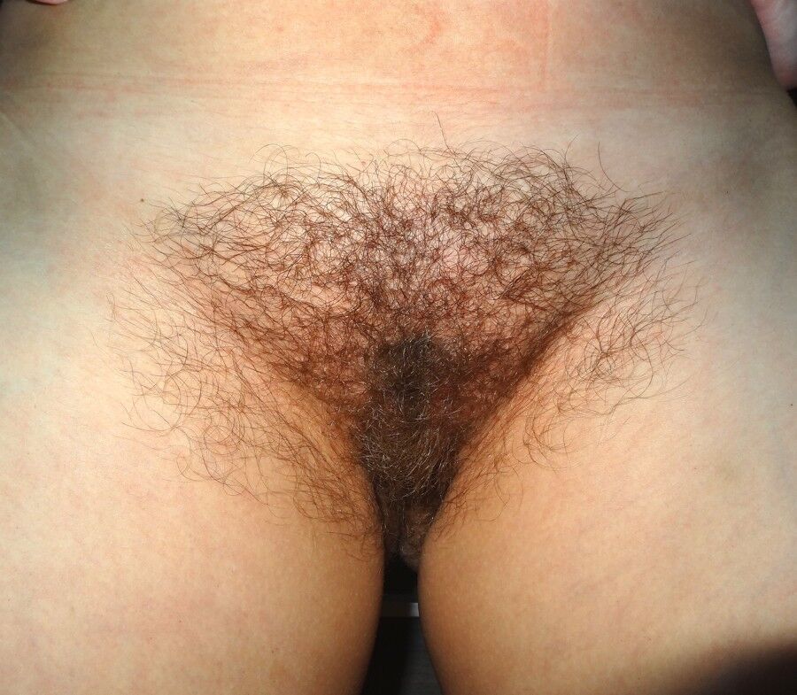 Free porn pics of Very hairy and side shaved 1 of 4 pics