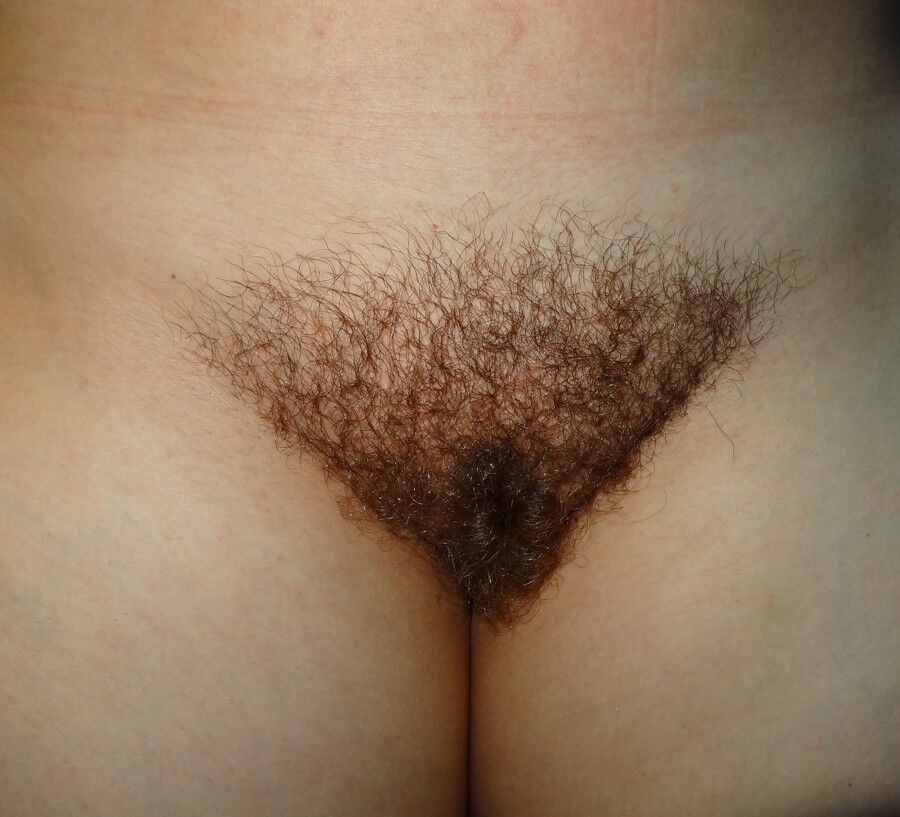 Free porn pics of Very hairy and side shaved 3 of 4 pics