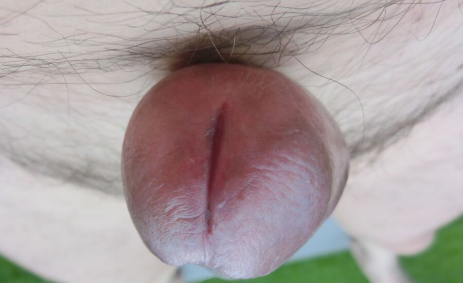 Free porn pics of Tubular flesh 15 of 24 pics