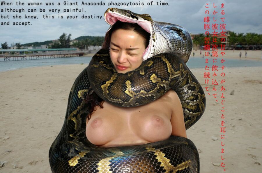 Free porn pics of The reptile succulent feed Li Hong 6 of 10 pics