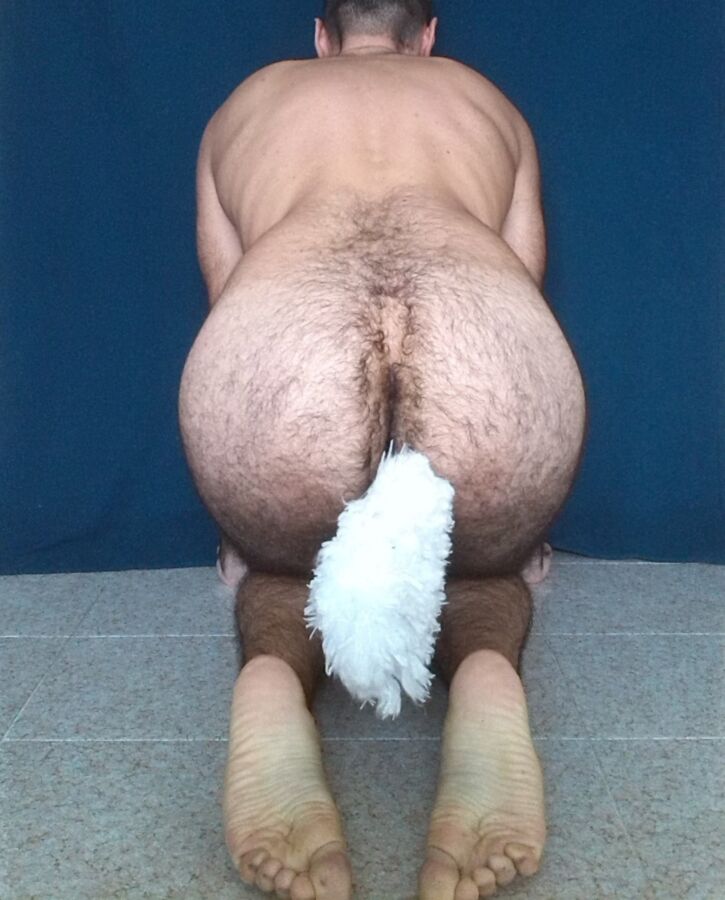 Free porn pics of Sitting Petboy with a Plug Tail 5 of 16 pics
