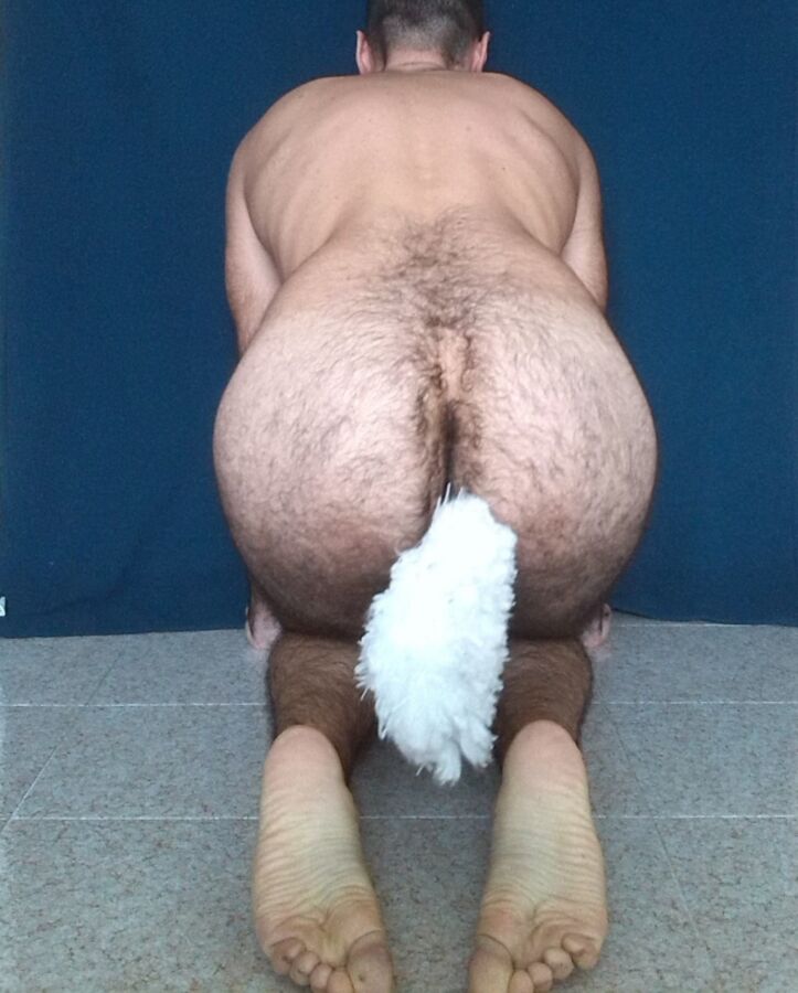 Free porn pics of Sitting Petboy with a Plug Tail 4 of 16 pics