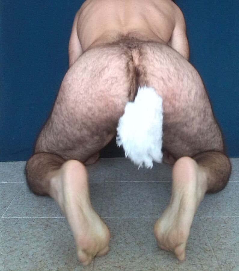 Free porn pics of Sitting Petboy with a Plug Tail 12 of 16 pics