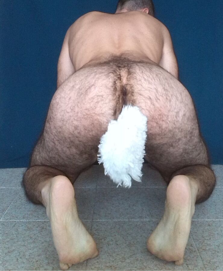 Free porn pics of Sitting Petboy with a Plug Tail 10 of 16 pics