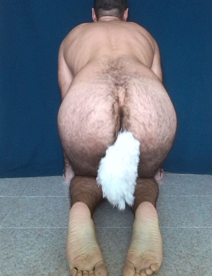 Free porn pics of Sitting Petboy with a Plug Tail 7 of 16 pics