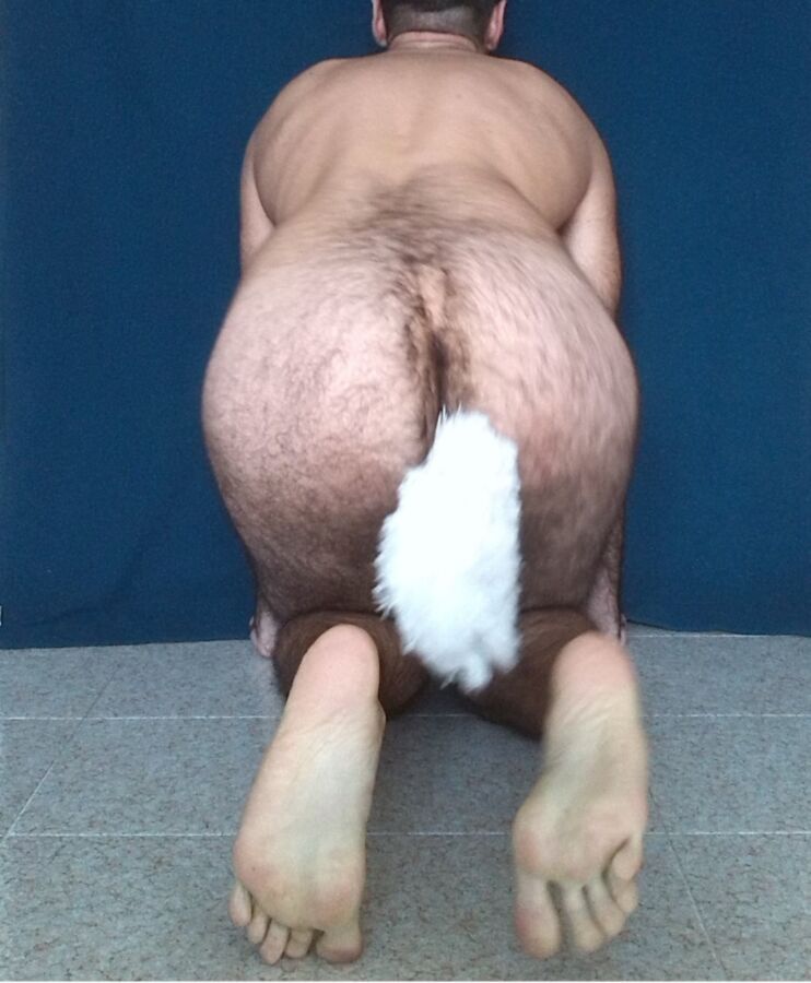 Free porn pics of Sitting Petboy with a Plug Tail 8 of 16 pics