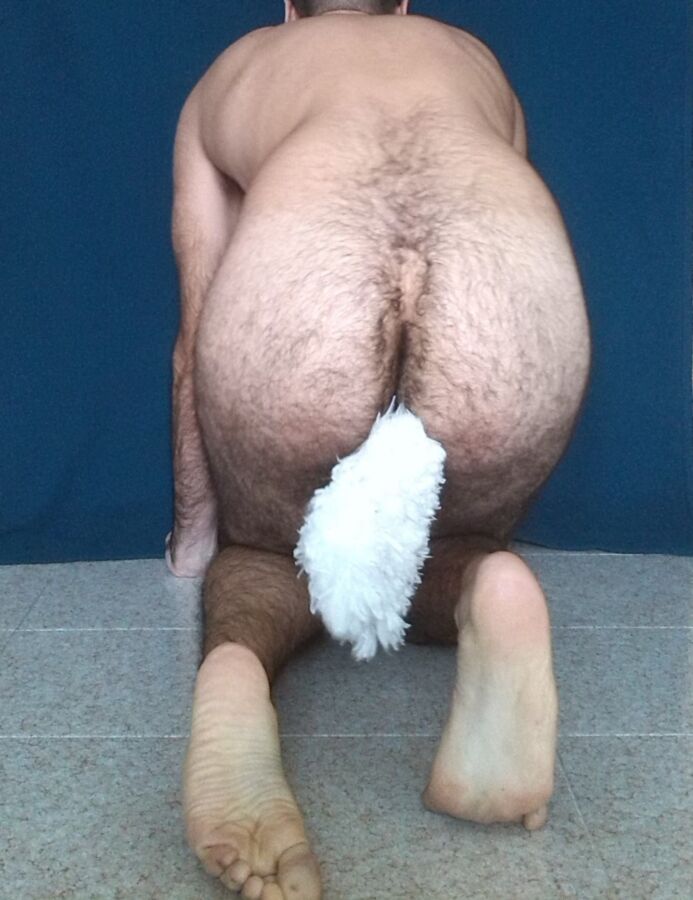 Free porn pics of Sitting Petboy with a Plug Tail 2 of 16 pics