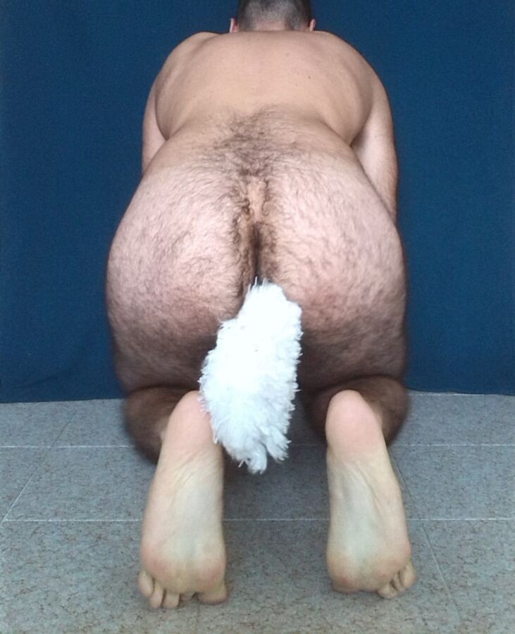 Free porn pics of Sitting Petboy with a Plug Tail 9 of 16 pics