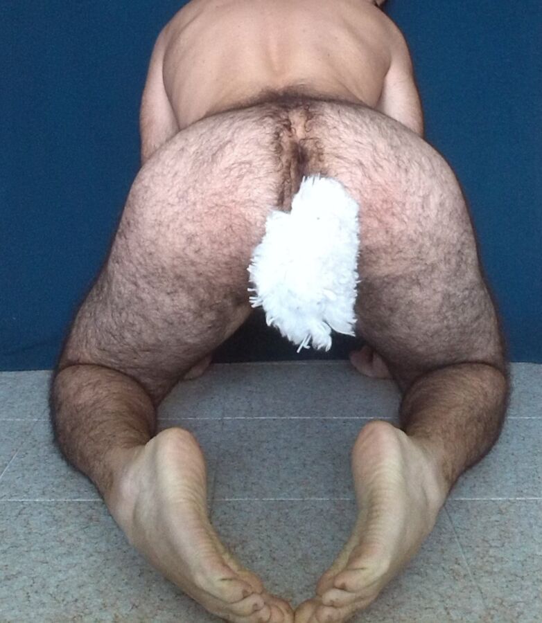 Free porn pics of Sitting Petboy with a Plug Tail 14 of 16 pics