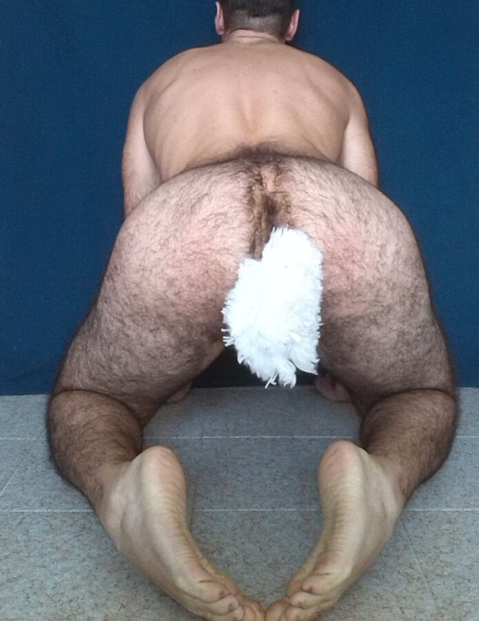 Free porn pics of Sitting Petboy with a Plug Tail 15 of 16 pics