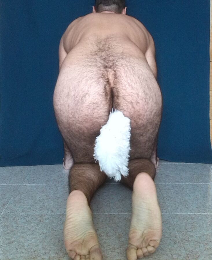Free porn pics of Sitting Petboy with a Plug Tail 3 of 16 pics