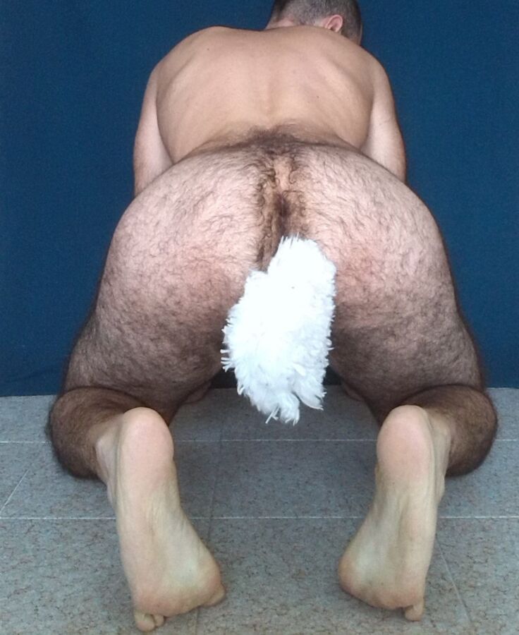 Free porn pics of Sitting Petboy with a Plug Tail 11 of 16 pics