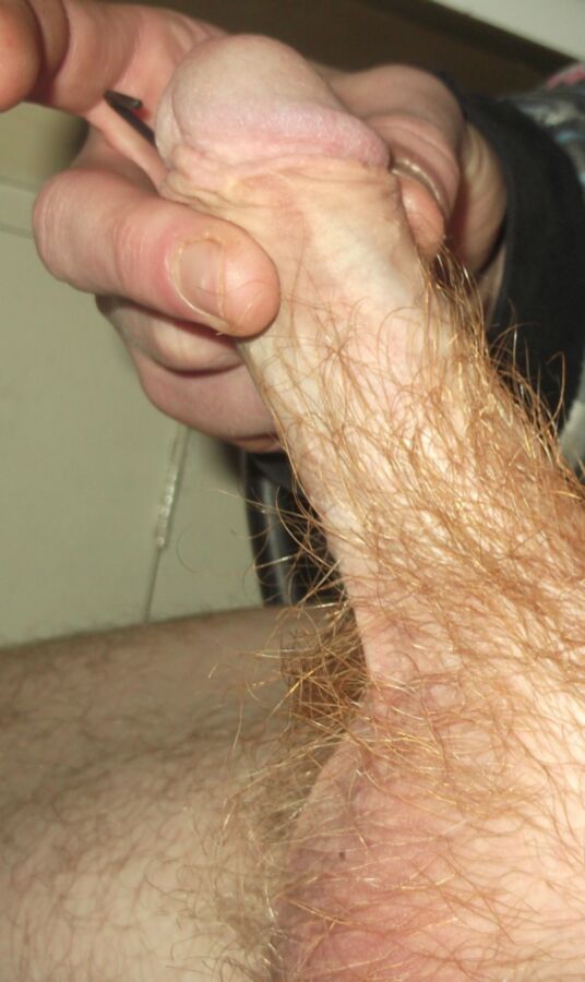 Free porn pics of My Latest Hairy Cock Pics. Ginger Hairy Shaft pubes. 2 of 24 pics