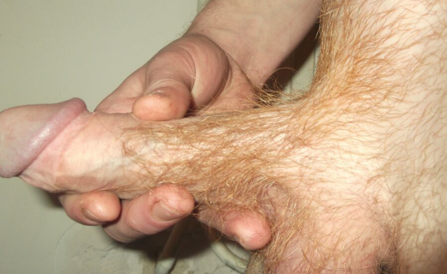 Free porn pics of My Latest Hairy Cock Pics. Ginger Hairy Shaft pubes. 15 of 24 pics