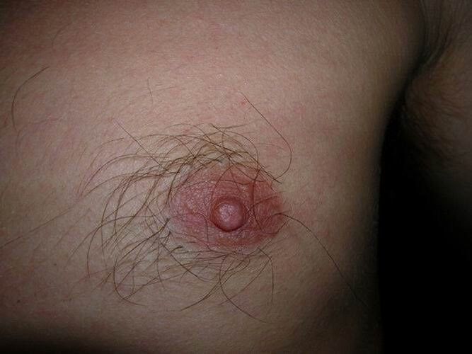 Free porn pics of Hairy Nipples 7 of 22 pics