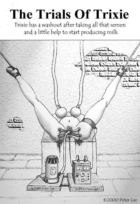Free porn pics of Peter Lee BDSM Art 19 of 45 pics