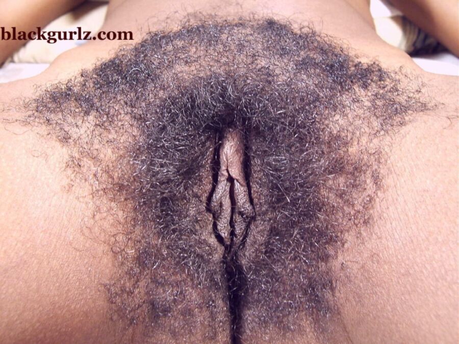 Free porn pics of Black hairy pussy 20 of 36 pics