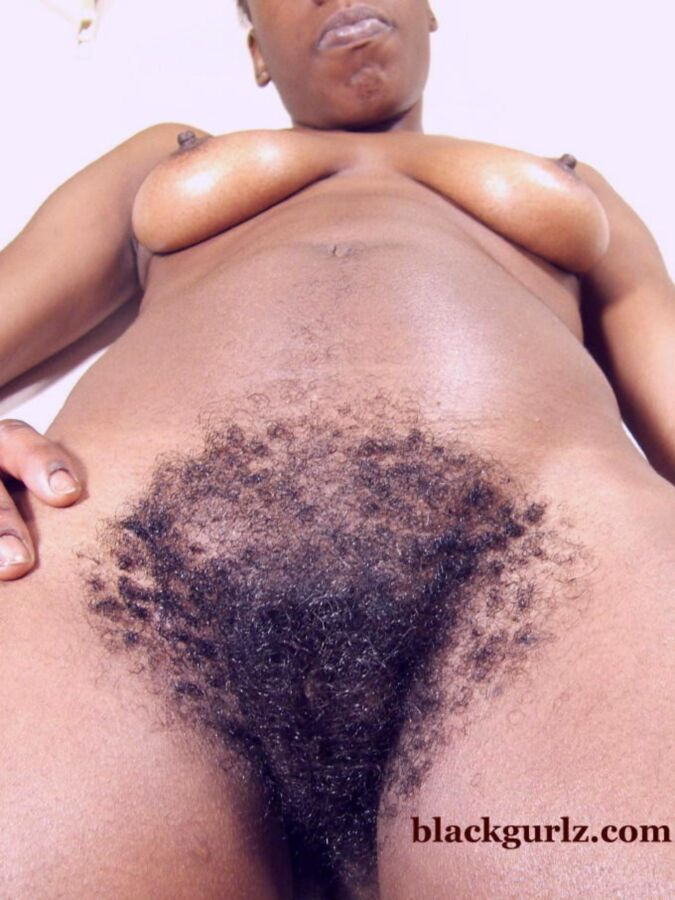 Free porn pics of Black hairy pussy 13 of 36 pics