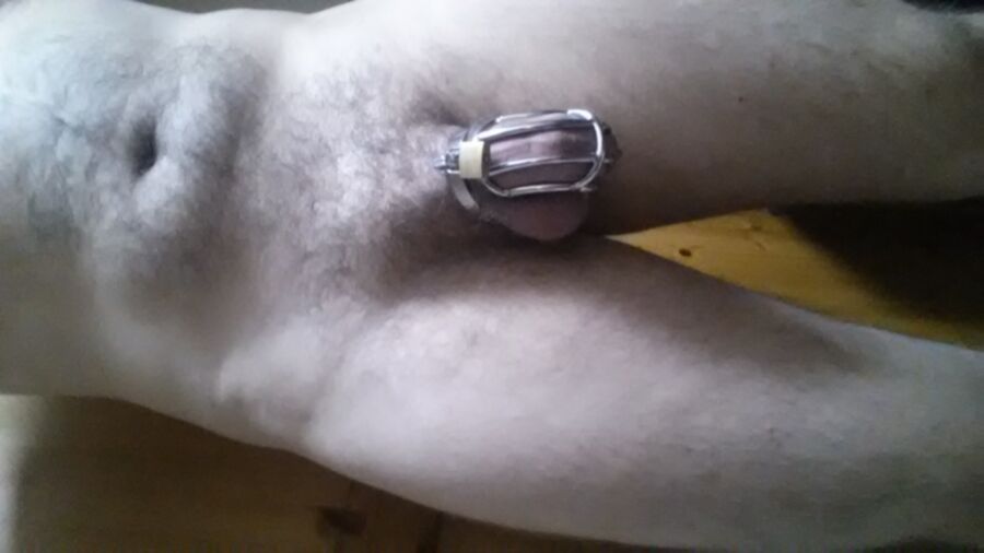 Free porn pics of More of me in chastity  1 of 13 pics