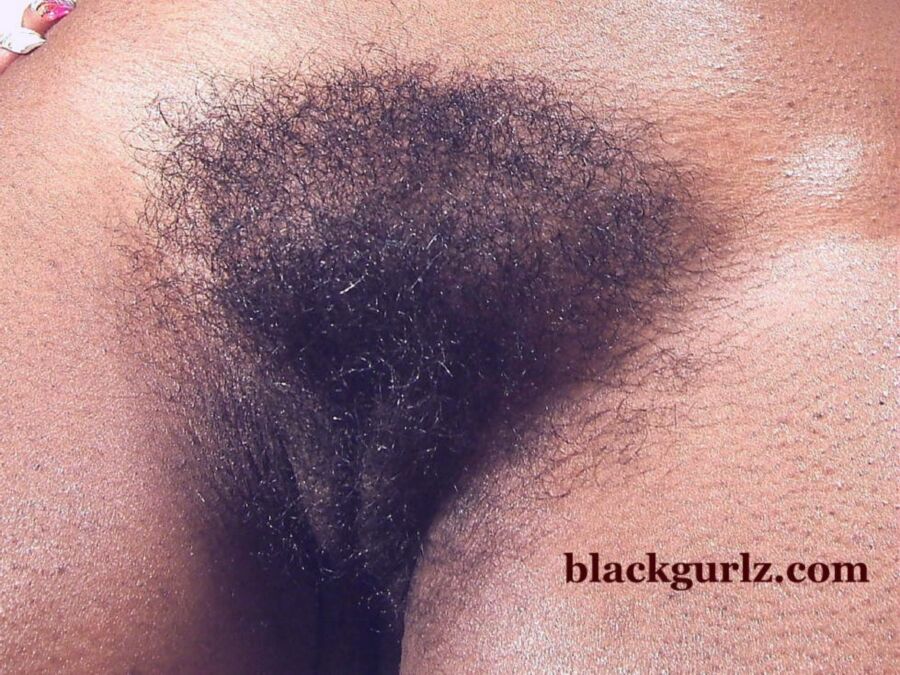 Free porn pics of sexy hairy black girl 8 of 32 pics