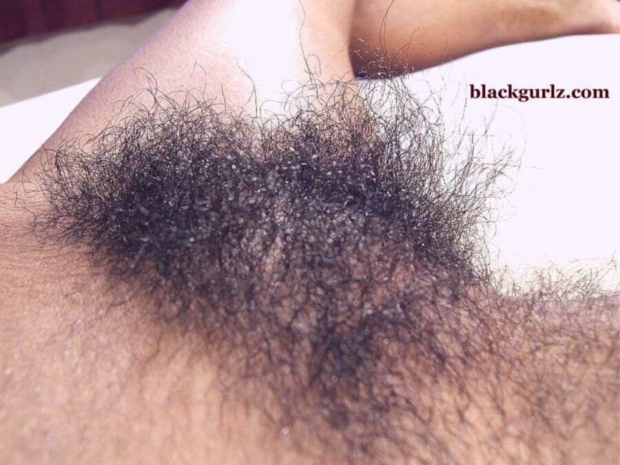 Free porn pics of sexy hairy black girl 24 of 32 pics