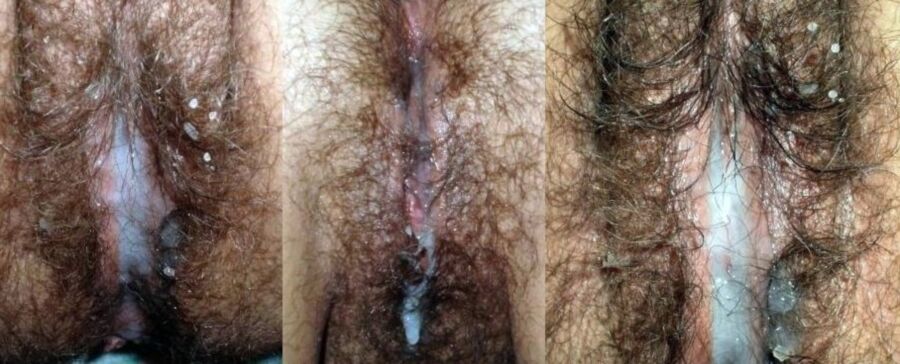 Free porn pics of hairy and wet pussy 16 of 16 pics