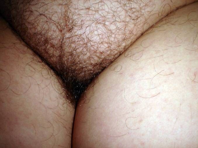 Free porn pics of hairy and wet pussy 2 of 16 pics