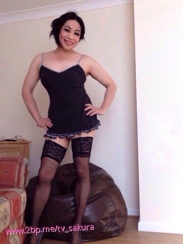 ts eskort stockholm sex free xxx ts eskort stockholm sex free xxx