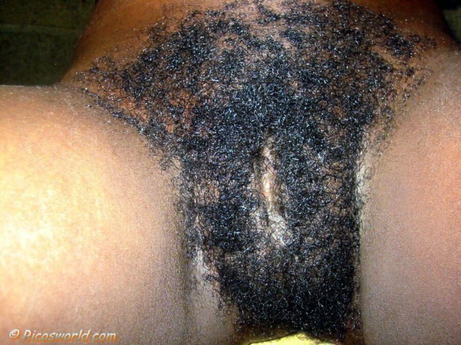 Free porn pics of Hairy Haitian Woman 22 of 34 pics