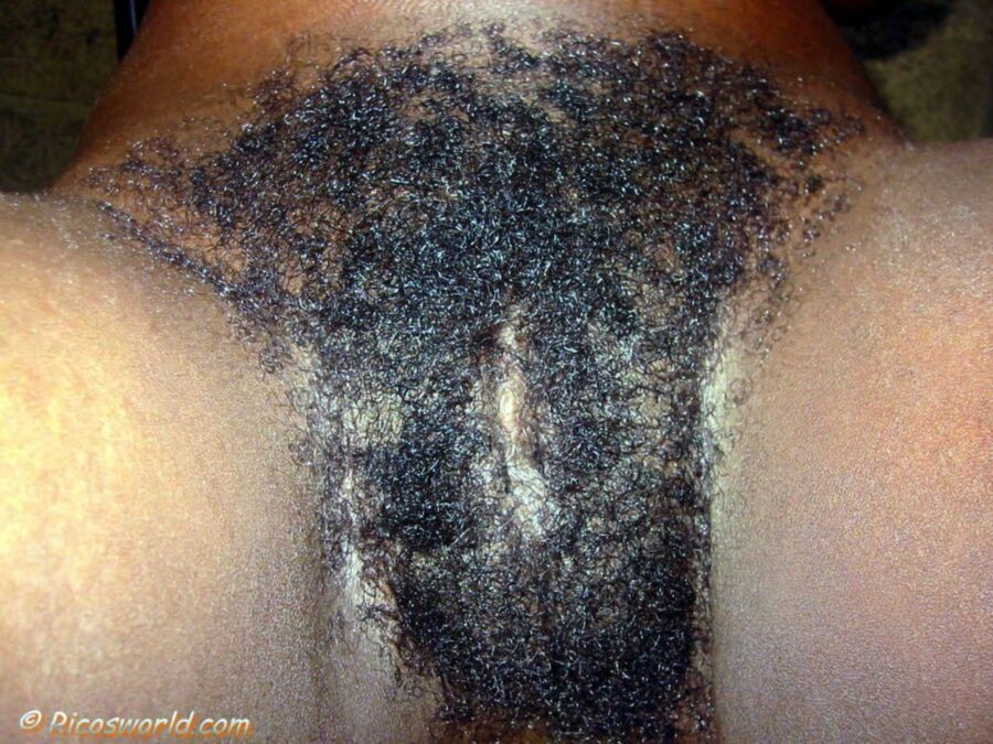 Free porn pics of Hairy Haitian Woman 19 of 34 pics