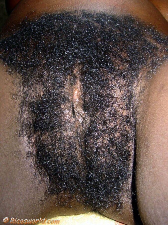 Free porn pics of Hairy Haitian Woman 21 of 34 pics