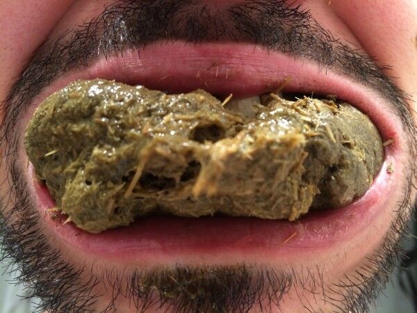 Free porn pics of Chewing on Horse poop ( SCAT ) 2 of 6 pics
